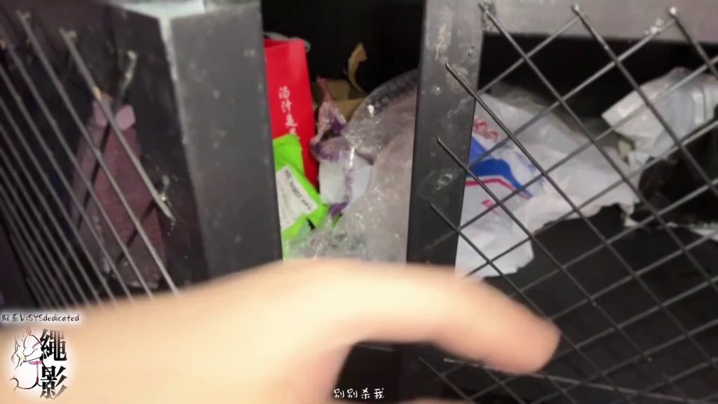 图片[19]-【绳影社】美女侦探，以身入局抓捕黑社会大佬（上集）-束乐kbss